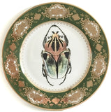 Goliath Beetle Plate or Teacup & Saucer Set, 8 oz, Porcelain