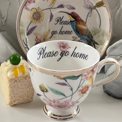 "Please Go Home" bird teacup and saucer set with spoon, 8 ounces
