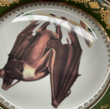 Hanging brown Bat Plate or Cup & Saucer Set, Porcelain
