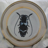 Blue Beetle Plate or Teacup and Saucer Set, 8 oz, Porcelain