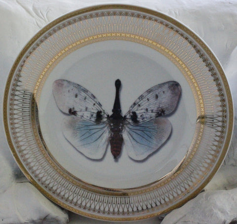 Butterfly Plate or Teacup & Saucer Set, 8 oz, Porcelain