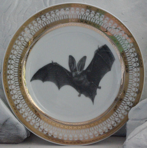 Big-Eared Bat Plate or Teacup & Saucer Set, 8  oz, Porcelain
