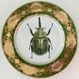 Stunning Raised Green and Gold Beetle Plate or Cup & Saucer