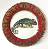 Chameleon Plate or Teacup & Saucer Set, 8 oz, Porcelain
