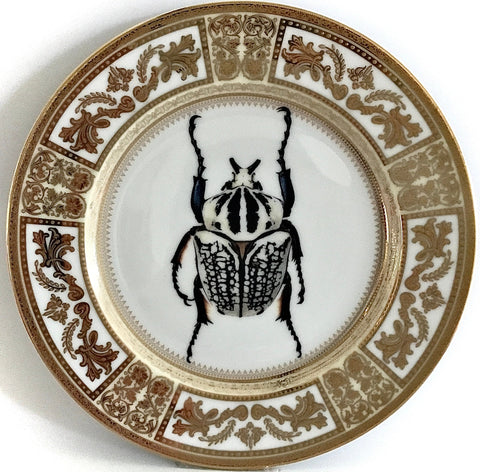 Insect Plate Design BUGS & INSECTS – Angioletti Designs