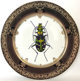 Green Insect Plate or Teacup & Saucer Set, 8 oz, Porcelain