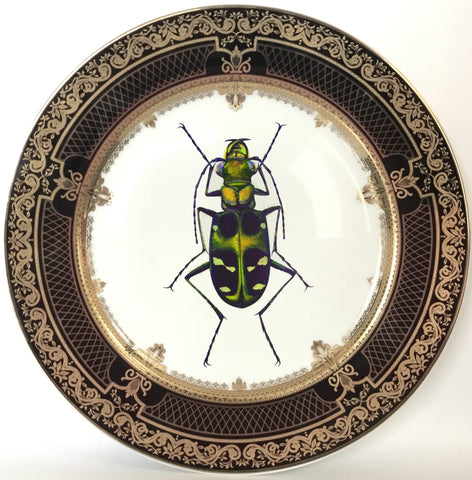 BUGS & INSECTS – Angioletti Designs