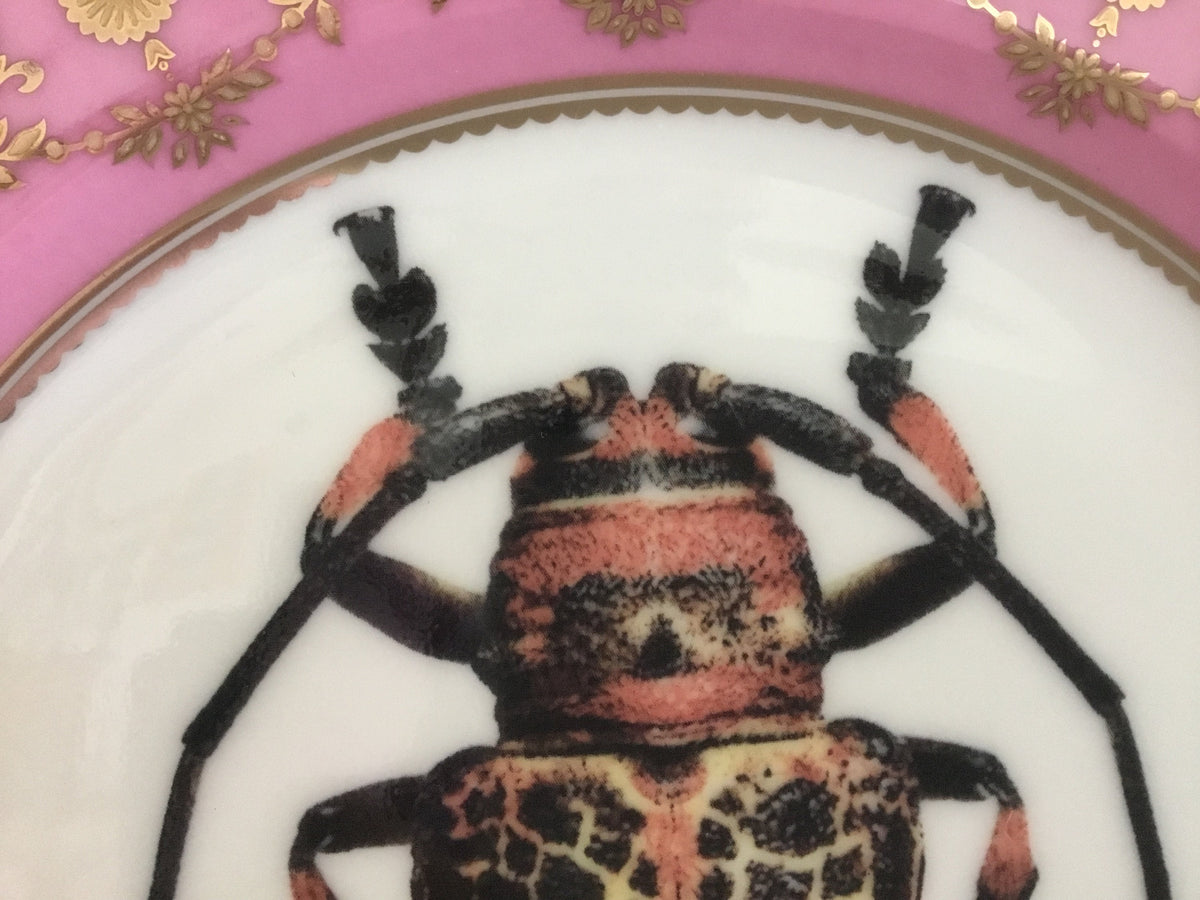 Speckled Insect Plate or Teacup & Saucer Set, 8 oz, Porcelain ...