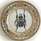 Black and White Insect Plate or Teacup & Saucer Set, 8 oz, Porcelain