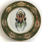 Goliath Beetle Plate or Teacup & Saucer Set, 8 oz, Porcelain
