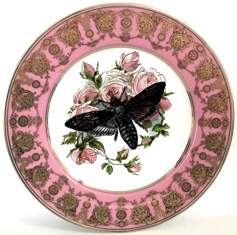 Death Moth Plate, Porcelain