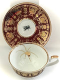 Spider and Fly Teacup & Saucer Set, 8 oz, Porcelain