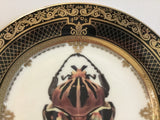 Goliath Beetle Plate or Teacup & Saucer Set, 8 oz, Porcelain