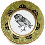 Owl Plate or Teacup & Saucer Set, 8 oz, Porcelain