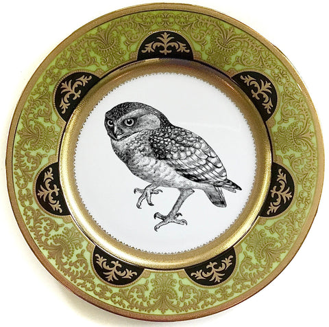 Owl Plate or Teacup & Saucer Set, 8 oz, Porcelain