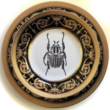 Black & White Beetle Plate or Teacup & Saucer Set, 8 oz, Porcelain