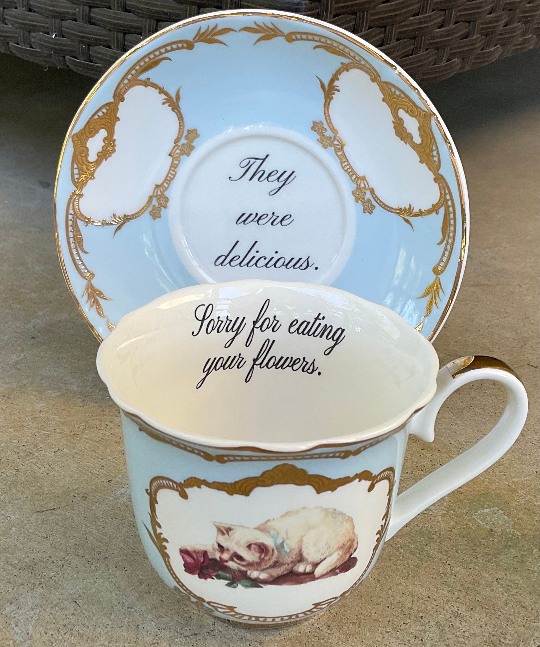 Funny Cat Teacup & Saucer Set, 8 oz  Angioletti Designs