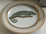 Gold chameleon plate or Teacup and Saucer Set, 8 oz, Porcelain