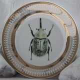 Green Beetle Plate or Teacup & Saucer Set, 8 oz, Porcelain