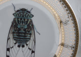 Cicada Bug Plate or Teacup & Saucer Set, 8 oz, Porcelain