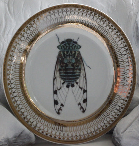 Cicada Bug Plate or Teacup & Saucer Set, 8 oz, Porcelain