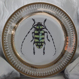 Long Horned Beetle Plate or Teacup & Saucer Set, 8 oz, Porcelain